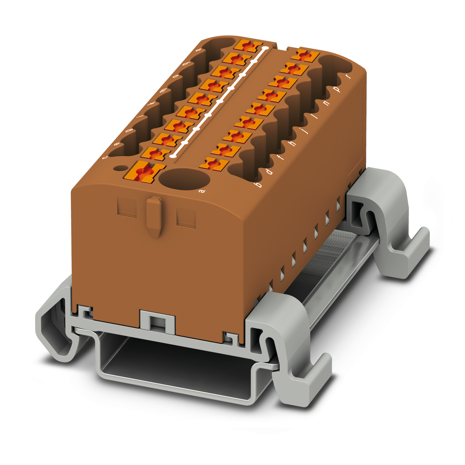 226444