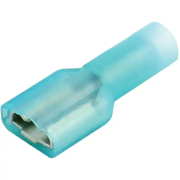 blue female disconnect