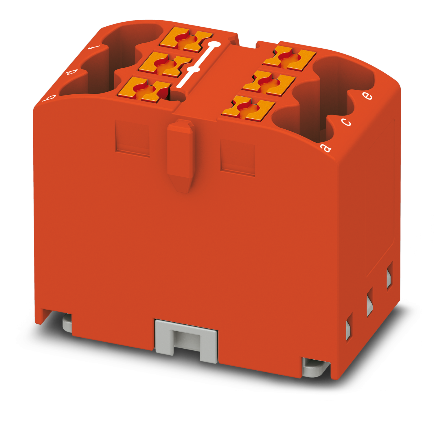 251732