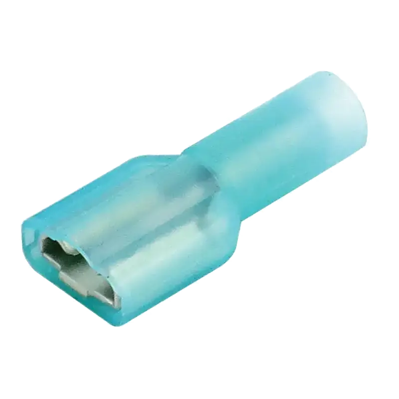 blue63nylonfemale