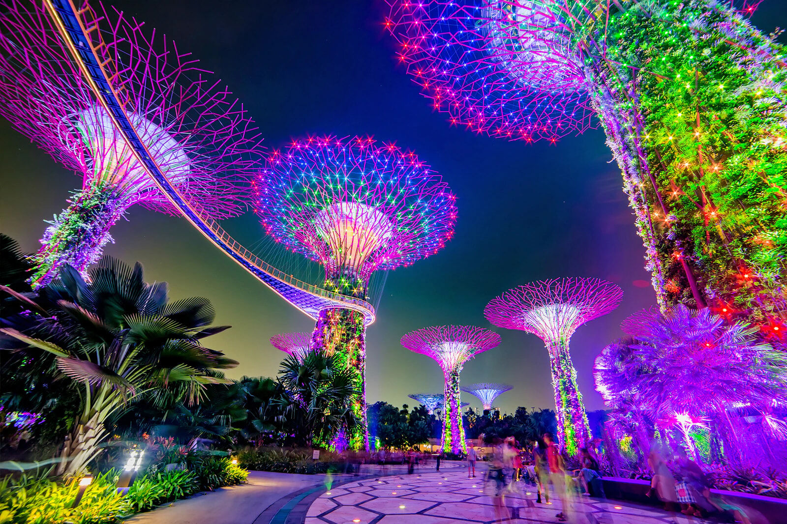 Techno Connectors light up Gardens by the bay in Singapore