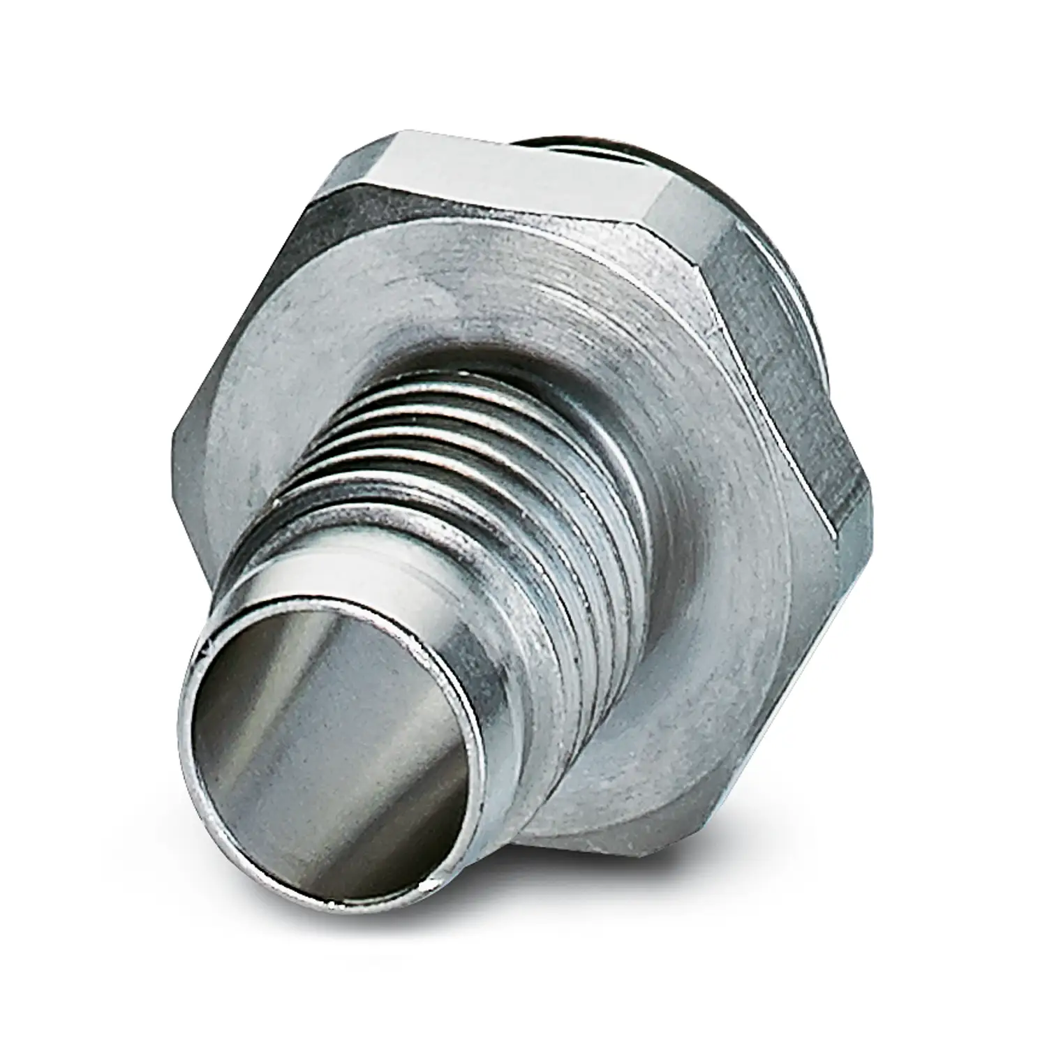 224304