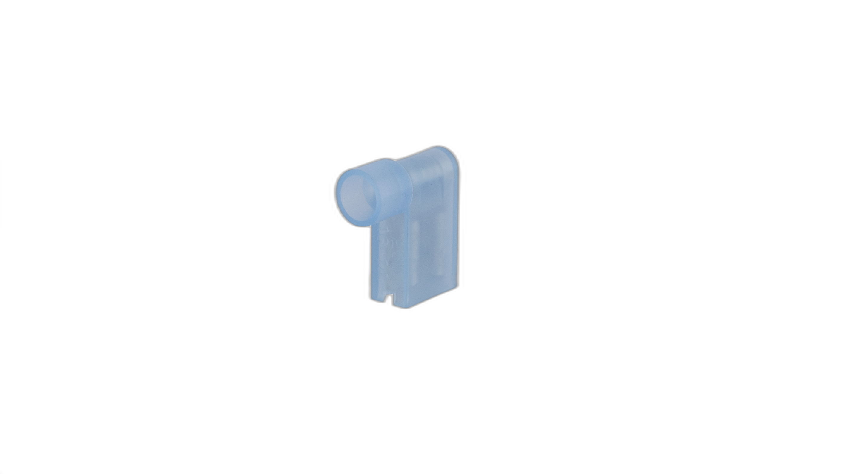 TNFPO2-6.3FLAG