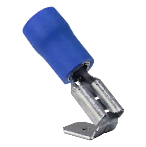 blue piggyback63
