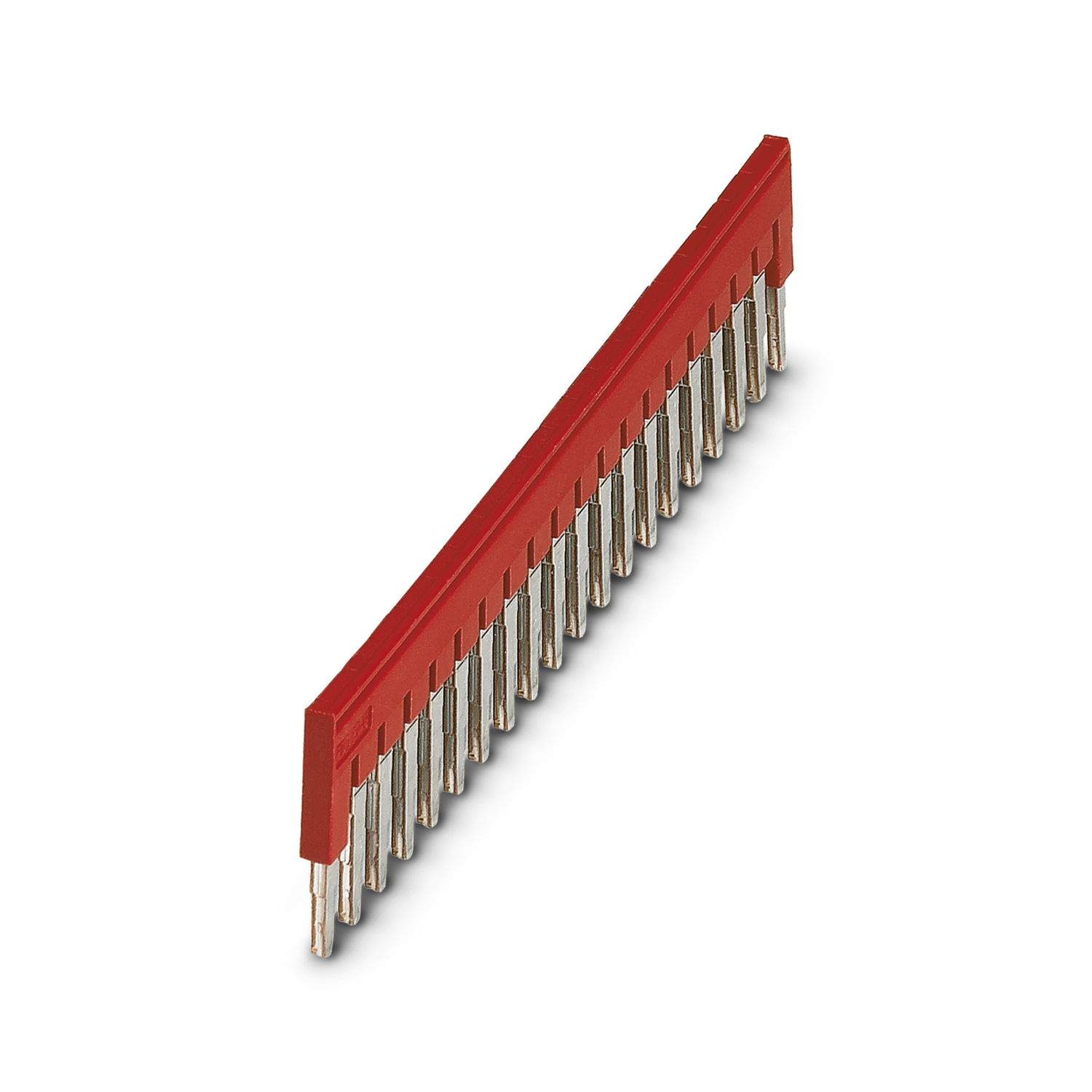 244004